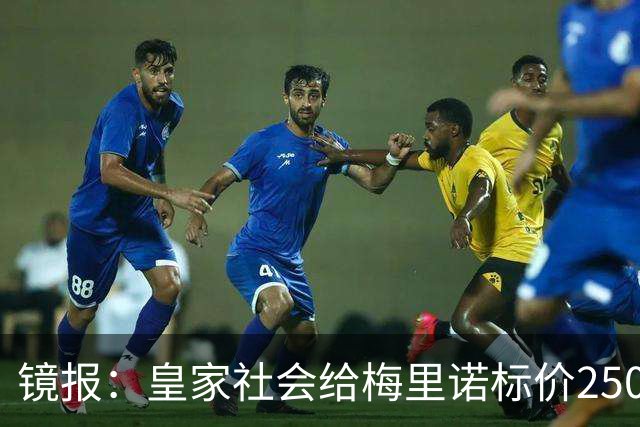 镜报：皇家社会给梅里诺标价2500万镑